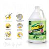 OdoBan Disinfectant & Odor Eliminator, Eucalyptus 32 oz + 1 Gallon-3